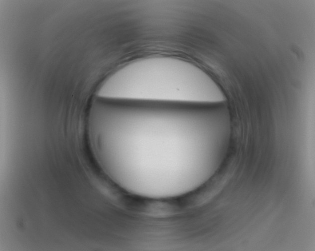 X0000114570315200910191039