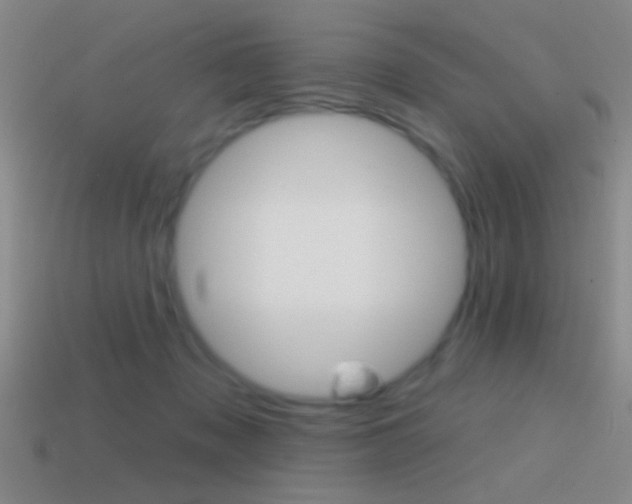 X0000114570317200910191039