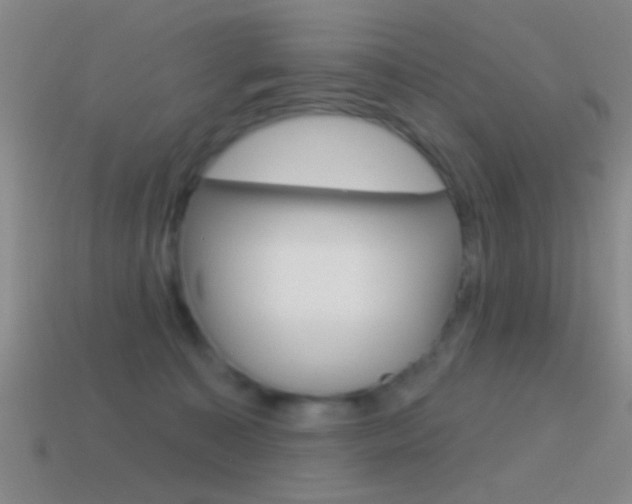 X0000114570323200910191038