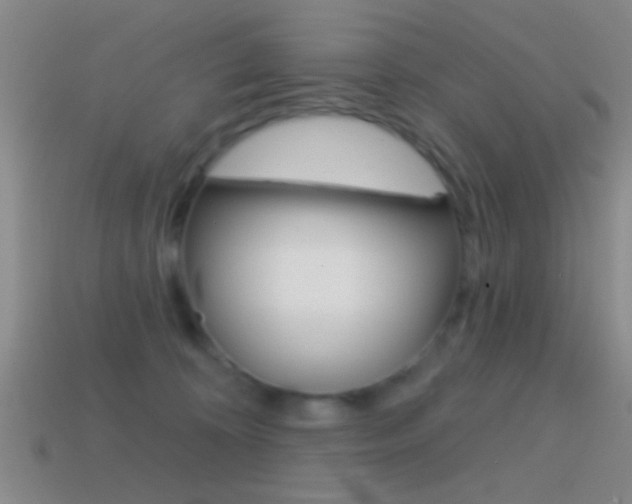 X0000114570324200910191038