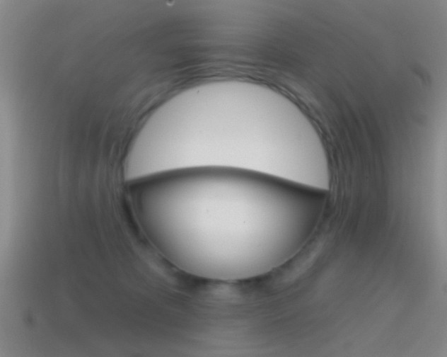 X0000114570325200910191038