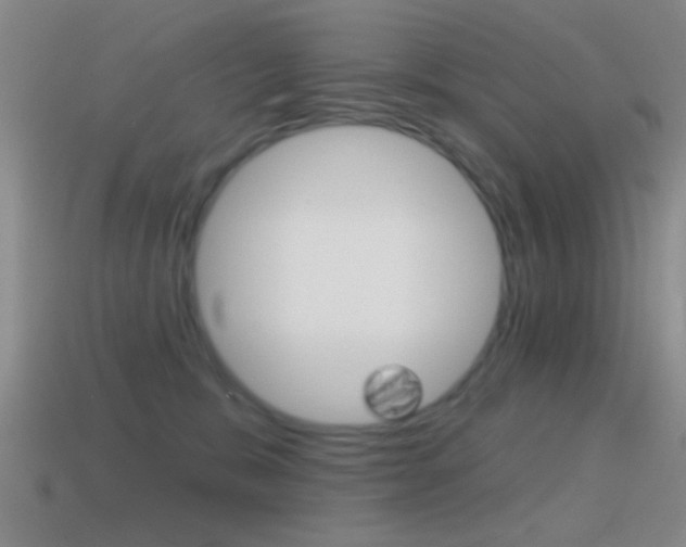 X0000114570327200910191038