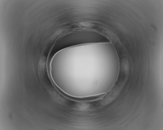 X0000114570328200910191038