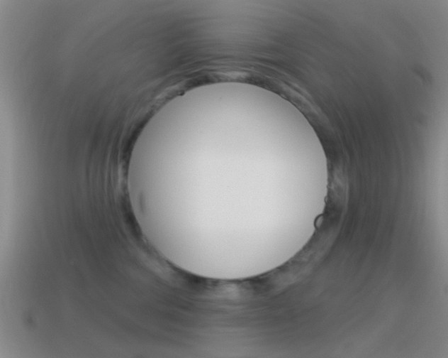 X0000114570330200910191038