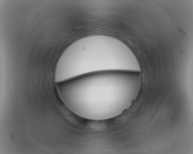 X0000114570331200910191038