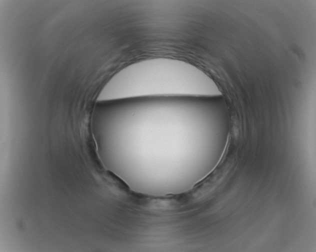 X0000114570332200910191038