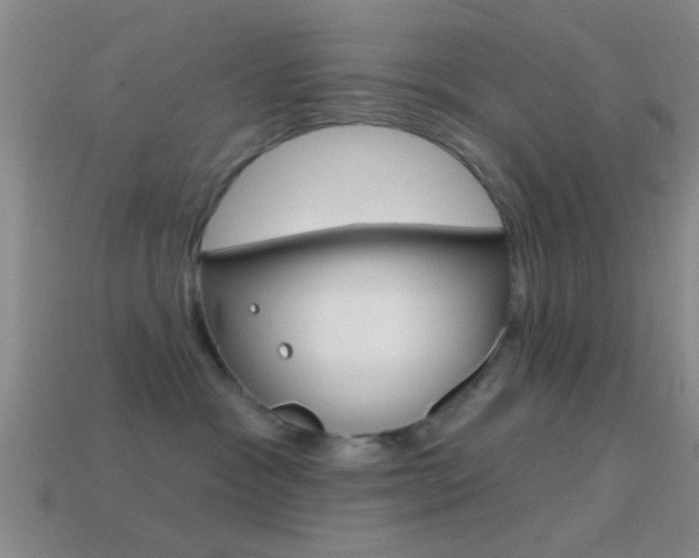 X0000114570333200910191038
