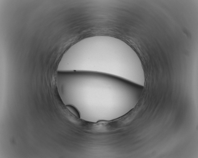 X0000114570335200910191038