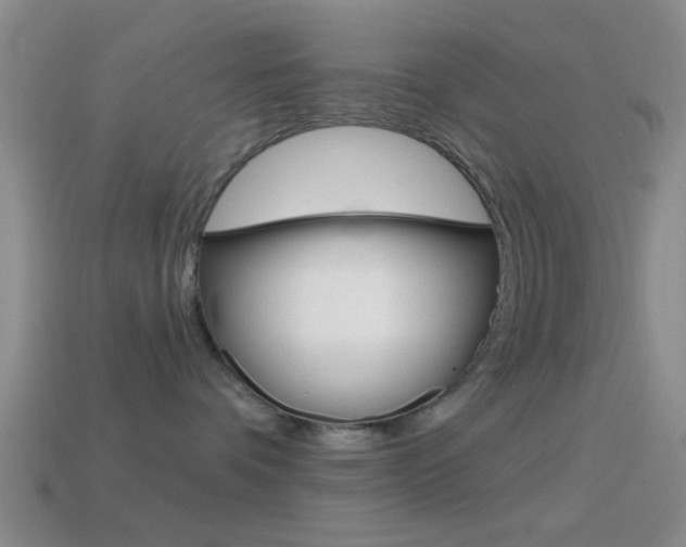 X0000114570336200910191038