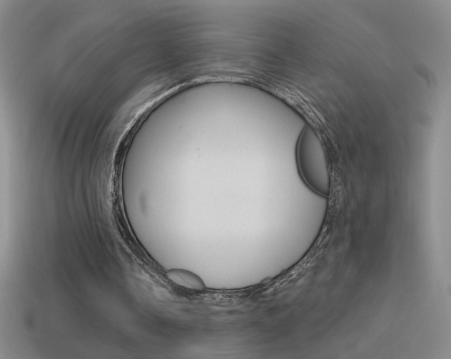 X0000114570338200910191038