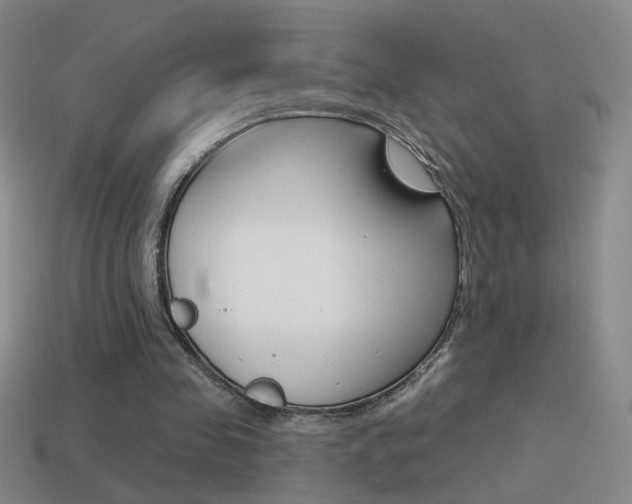 X0000114570341200910191038