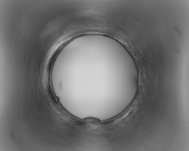 X0000114570343200910191038
