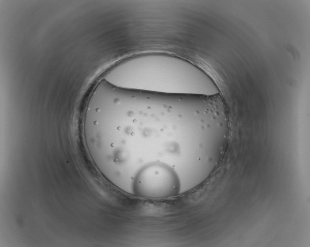 X0000114570346200910191038