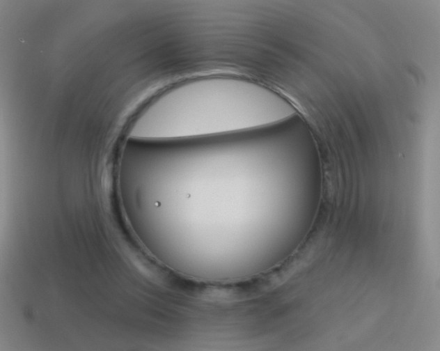 X0000114570350200910191038