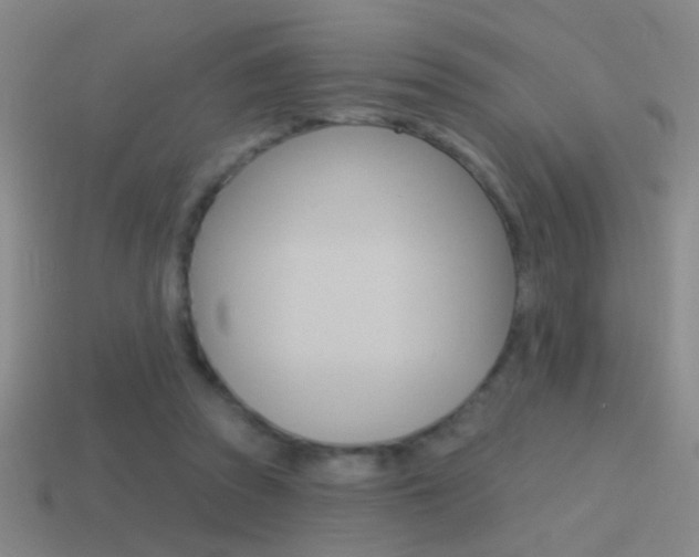 X0000114570353200910191038