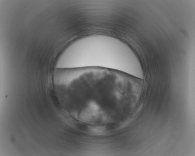 X0000114570359200910191038
