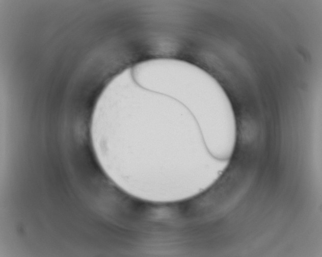 X0000114570370200910191038