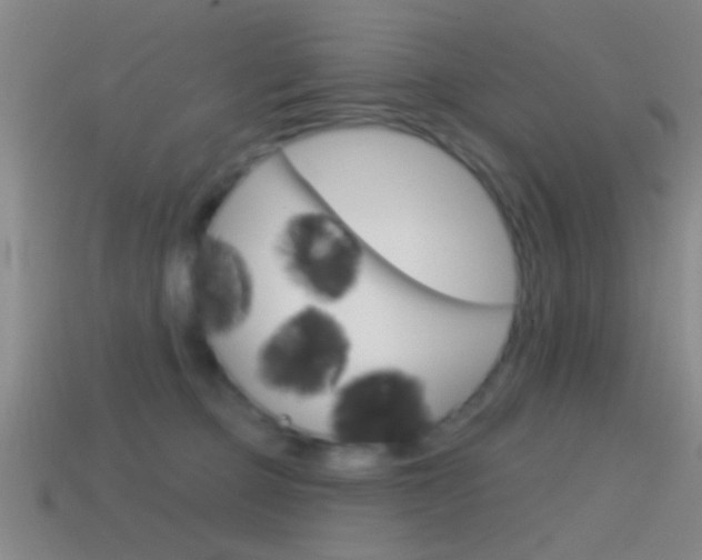X0000114570373200910191038