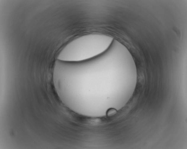 X0000114570374200910191038