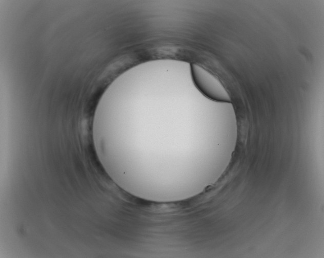 X0000114570378200910191038