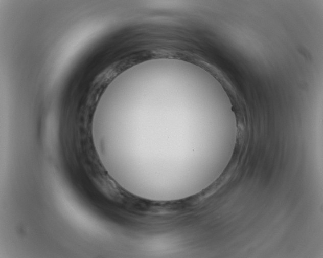 X0000114570381200910191038