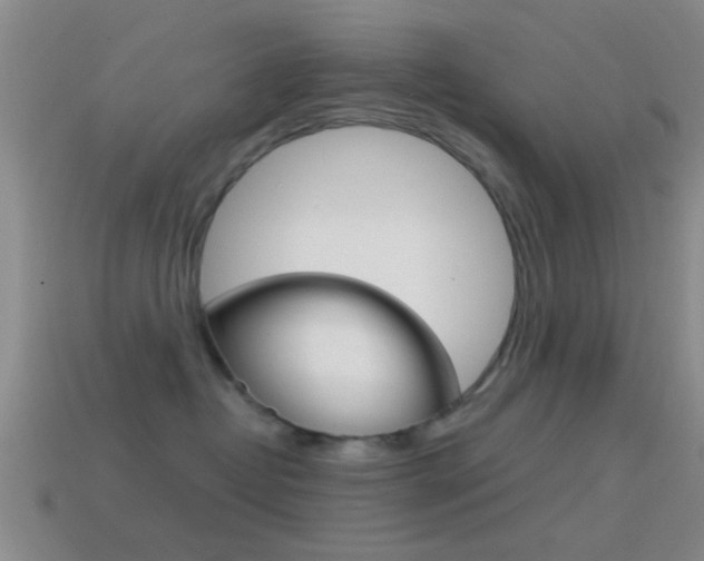 X0000114570382200910191038