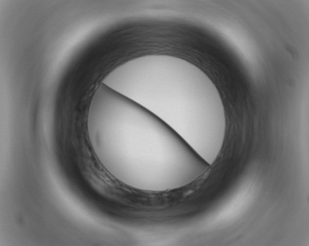 X0000114570383200910191038