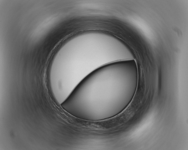 X0000114570387200910191038