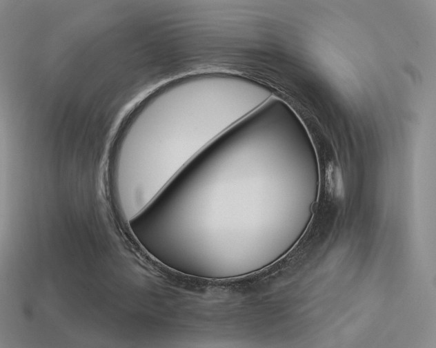 X0000114570388200910191038