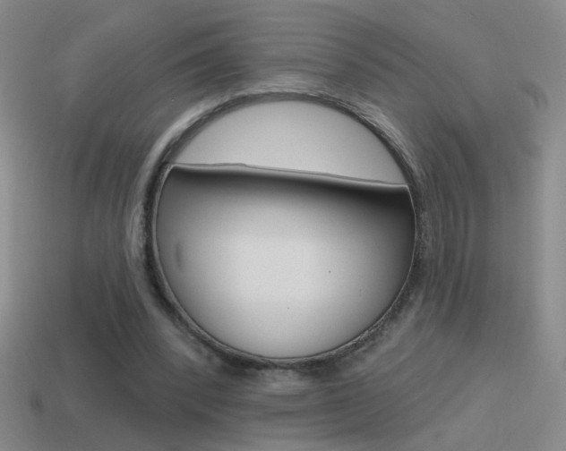 X0000114570392200910191038