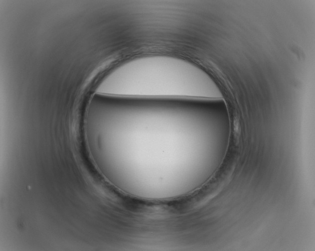 X0000114570396200910191038