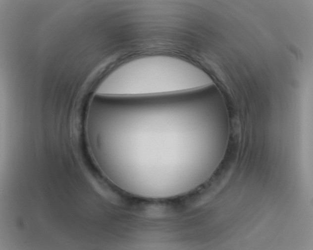 X0000114570400200910191038