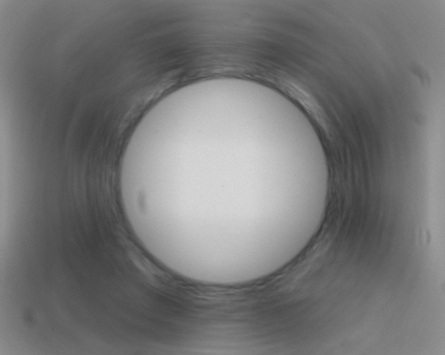 X0000114570401200910191037