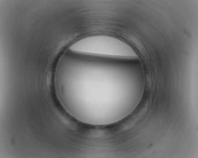 X0000114570404200910191037