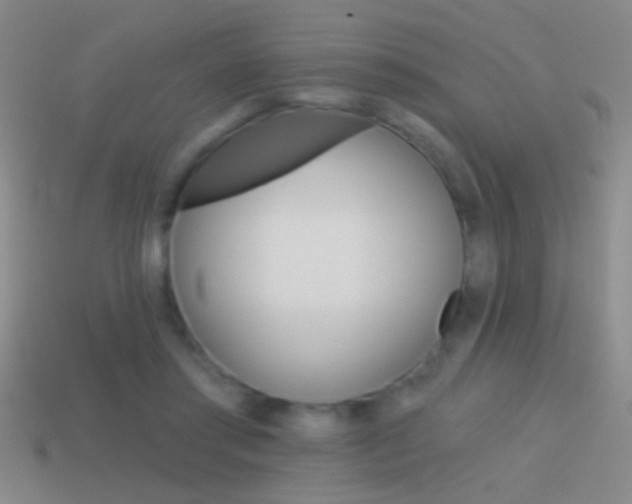 X0000114570405200910191037
