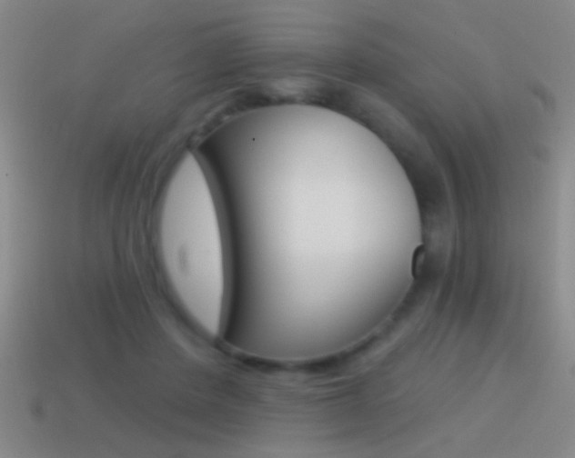 X0000114570408200910191037