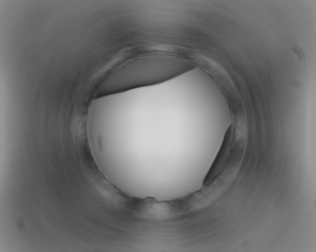 X0000114570409200910191037