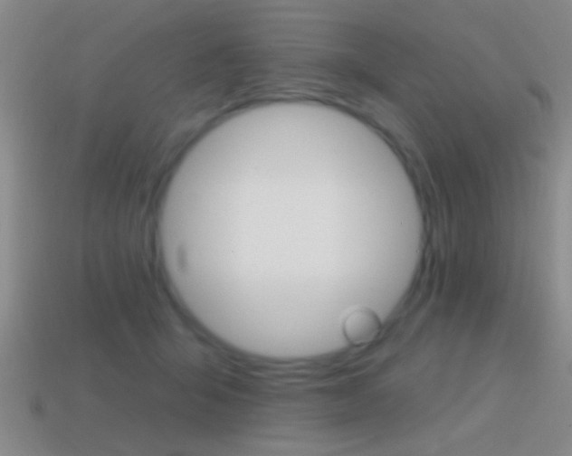 X0000114570415200910191037