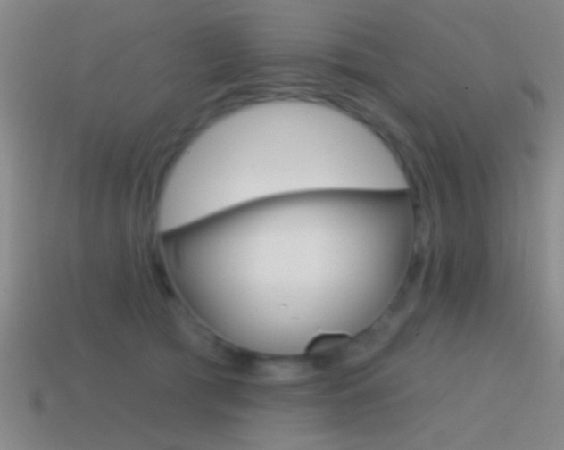 X0000114570417200910191037