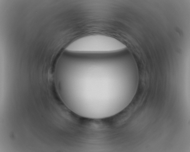 X0000114570420200910191037