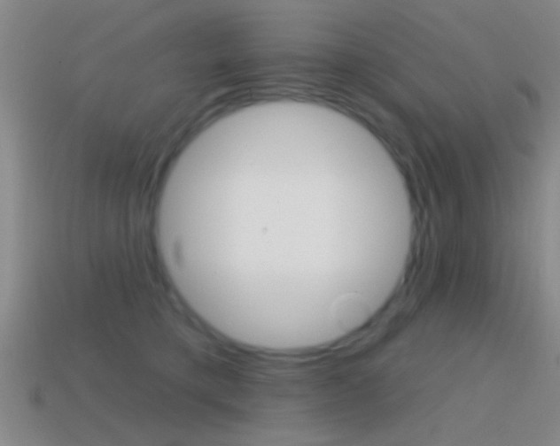 X0000114570421200910191037
