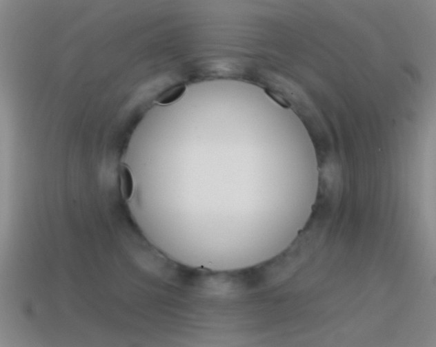 X0000114570423200910191037