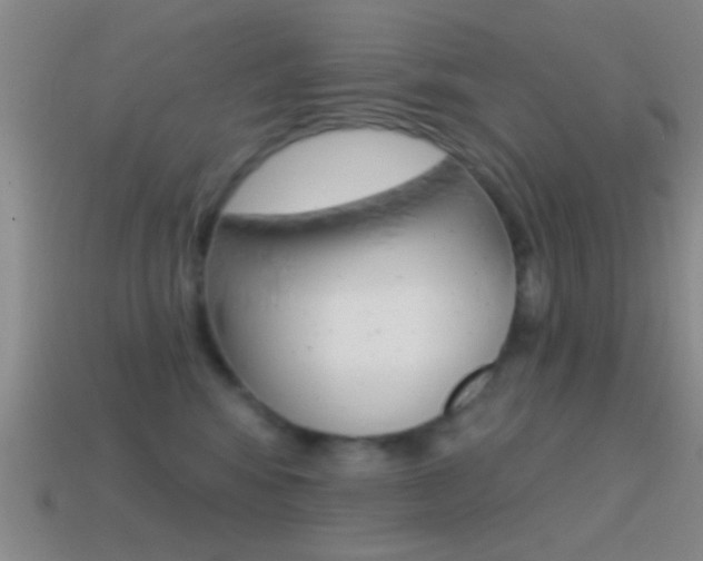 X0000114570424200910191037