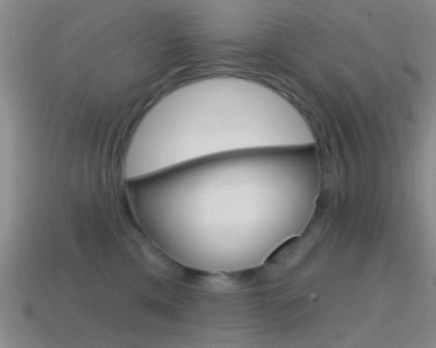 X0000114570425200910191037