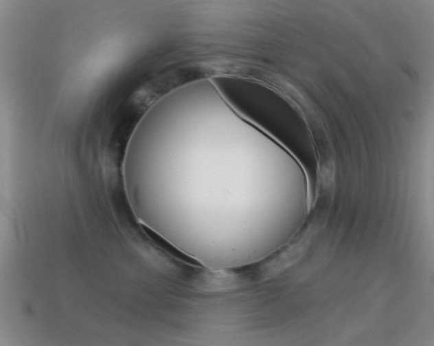 X0000114570429200910191037