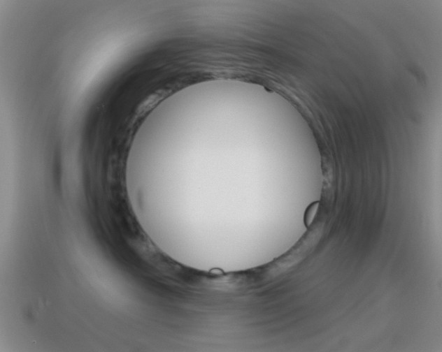 X0000114570430200910191037