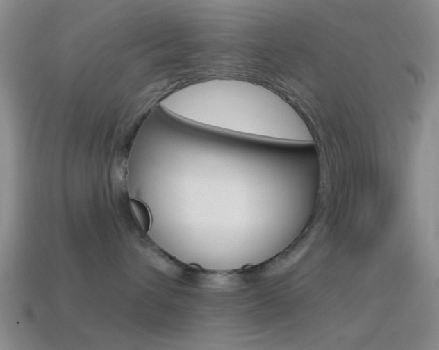 X0000114570432200910191037