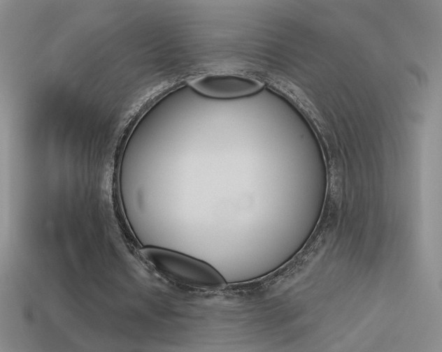 X0000114570434200910191036
