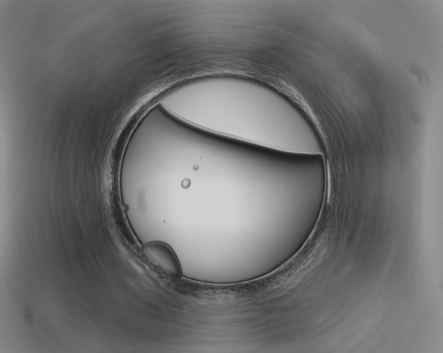 X0000114570435200910191037