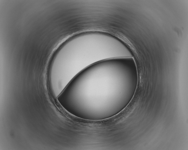 X0000114570436200910191037